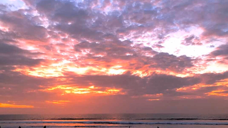 גלישה בבאלי: המדריך המלא לישראלים