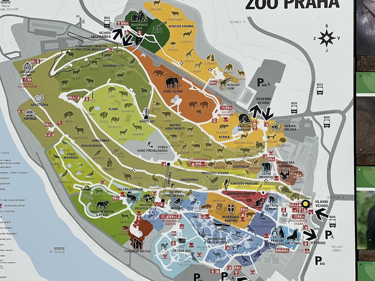 גן החיות של פראג