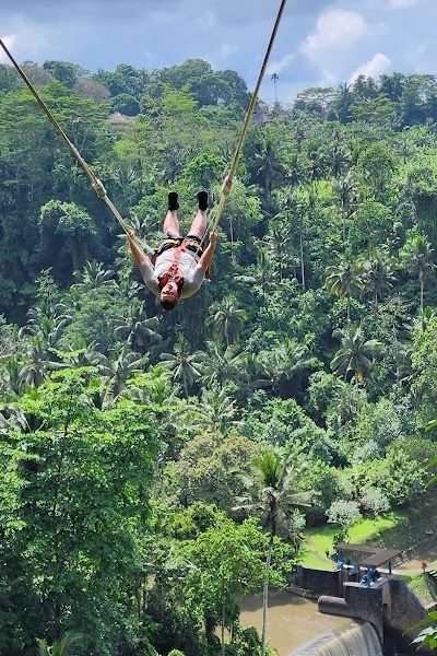 Bali Swing — הנדנדה שכיבשה את האינסטגרם