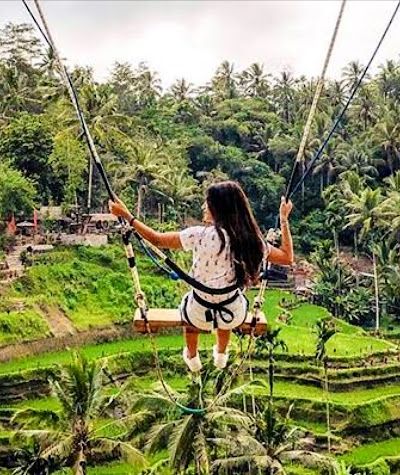 Bali Swing — הנדנדה שכיבשה את האינסטגרם — תמונה 5