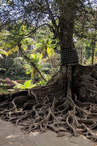 מערת הפיל — מקדש עתיק מהמאה ה-9 — תמונה 4