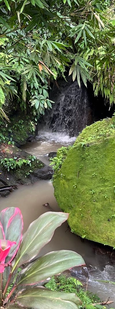 מערת הפיל — מקדש עתיק מהמאה ה-9 — תמונה 5