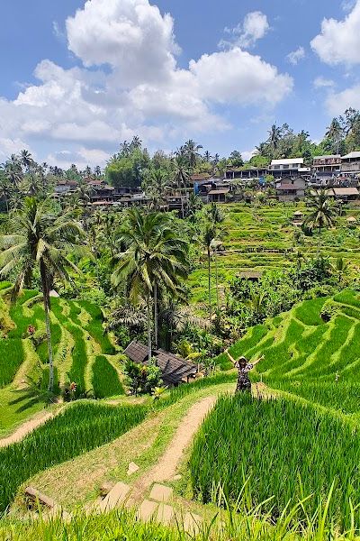 טרסות האורז בטגאלאלאנג
