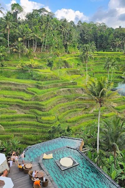 טרסות האורז בטגאלאלאנג — תמונה 5