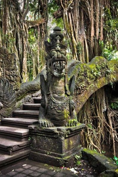 יער הקופים באובוד