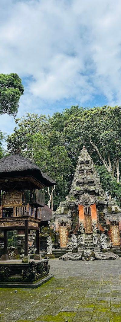 יער הקופים באובוד — תמונה 5