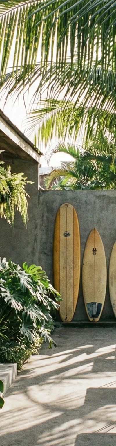 קאנגו בבאלי — המדריך המלא לשכונת הסרפרים