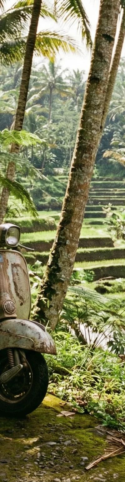 תחבורה בבאלי - קטנוע, Grab ומוניות