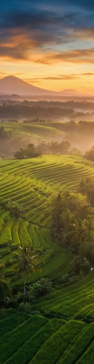 מזג האוויר בבאלי - עונות, גשם וטמפרטורות