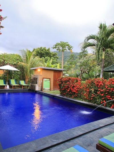 עמד הארמוני וילאס — תמונה 4