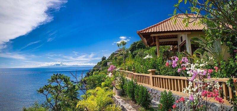 בלו מון וילאס עמד — תמונה ראשית