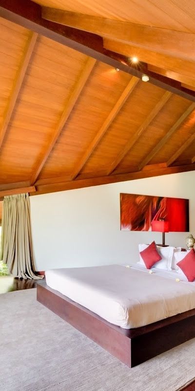 ה-לייאר וילאס סמינייק — תמונה 3