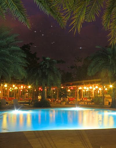 סי פי לאונג' אובוד — תמונה 5