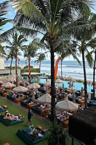 פוטטו הד ביץ׳ קלאב — תמונה 4