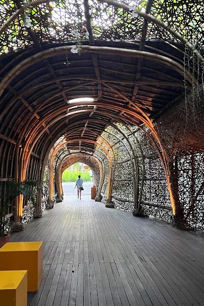 פוטטו הד ביץ׳ קלאב — תמונה 5