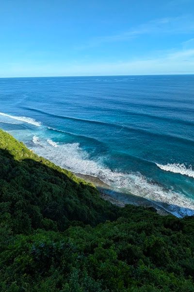 סאבאיה באלי — תמונה 4