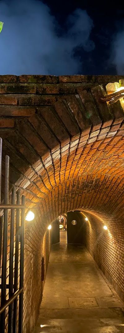 דה איירון פריז (The Iron Fairies) — תמונה 5