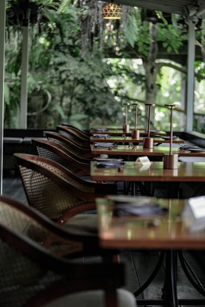 ארקדיה (Arcadia) — תמונה ראשית