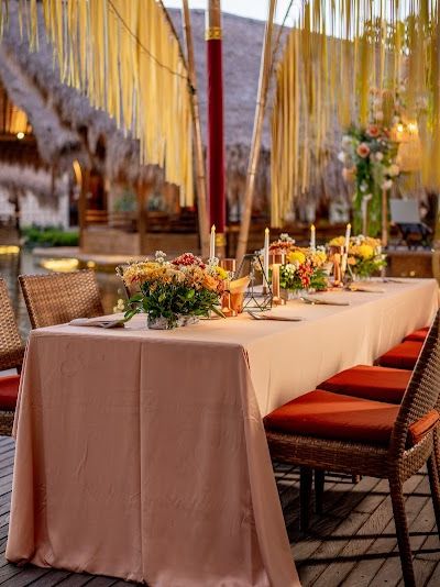 בלה אודנג קוטה