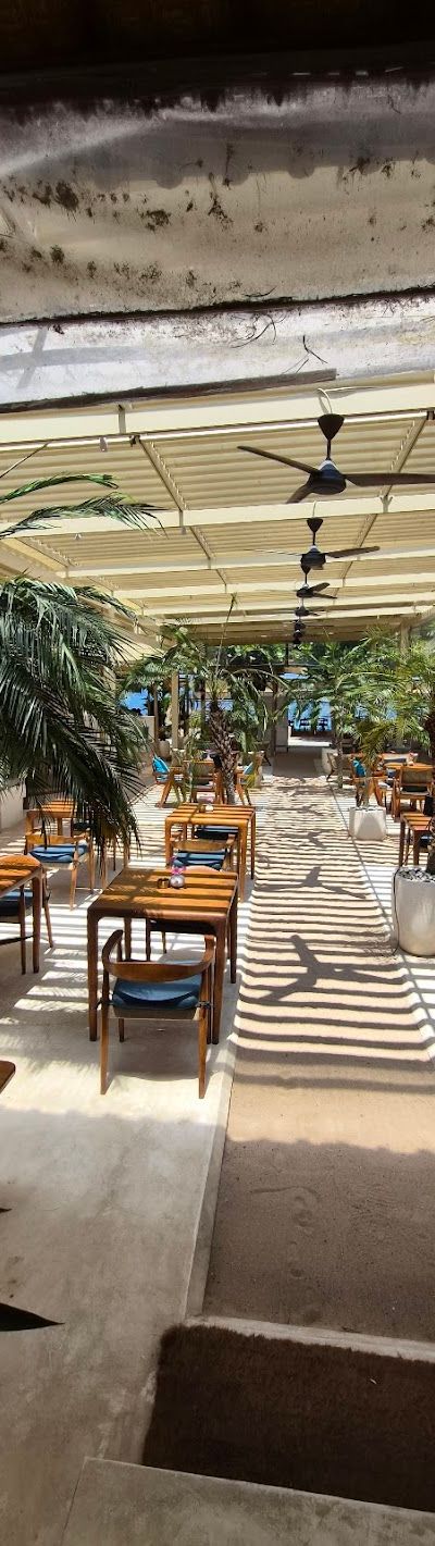 קוסטה, סאנור — תמונה 3