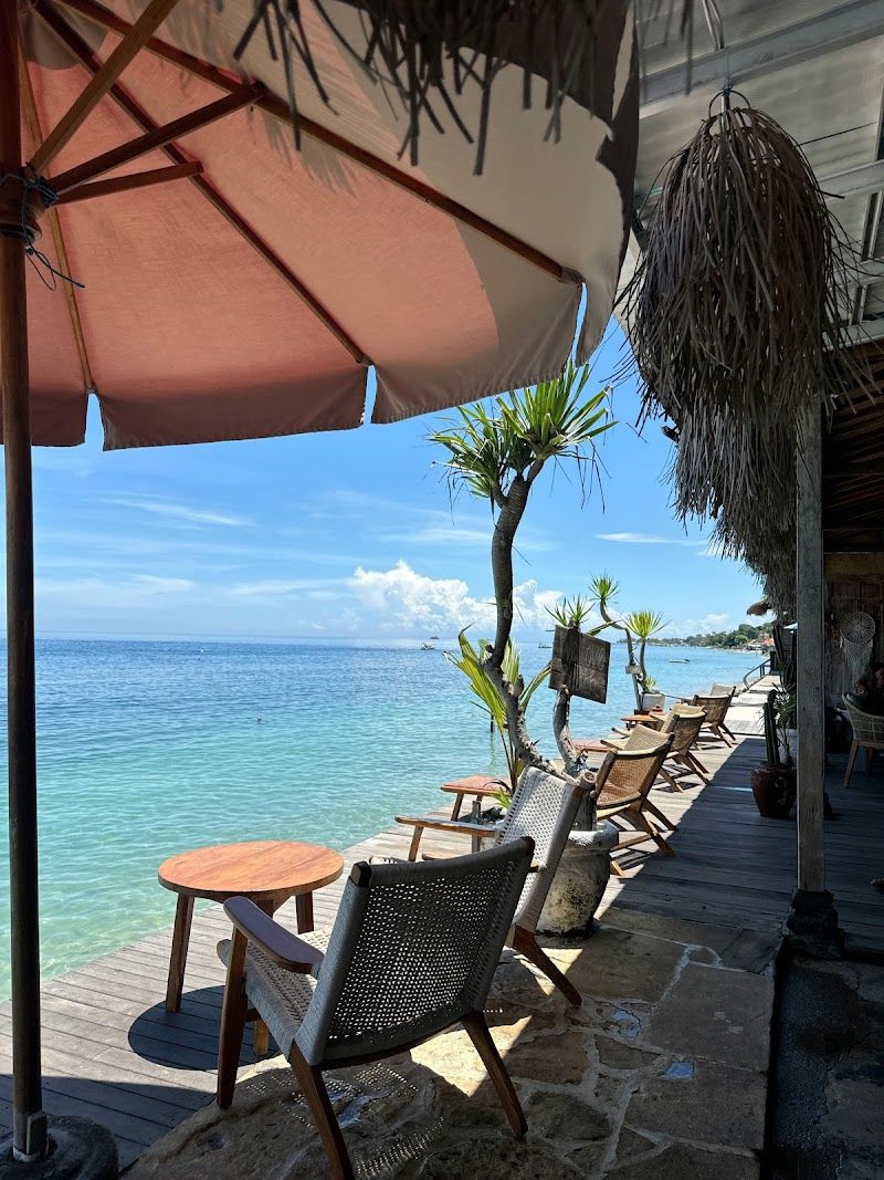 סיקרט פנידה — תמונה ראשית