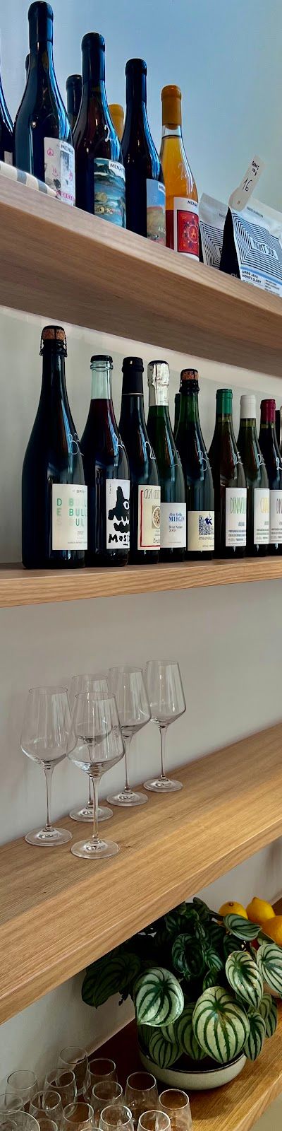 ג'ון קולקטיב