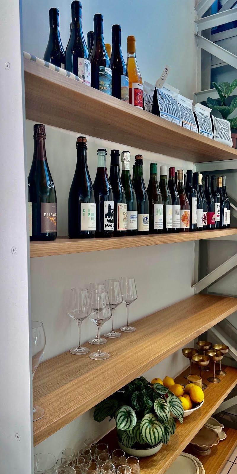 ג'ון קולקטיב