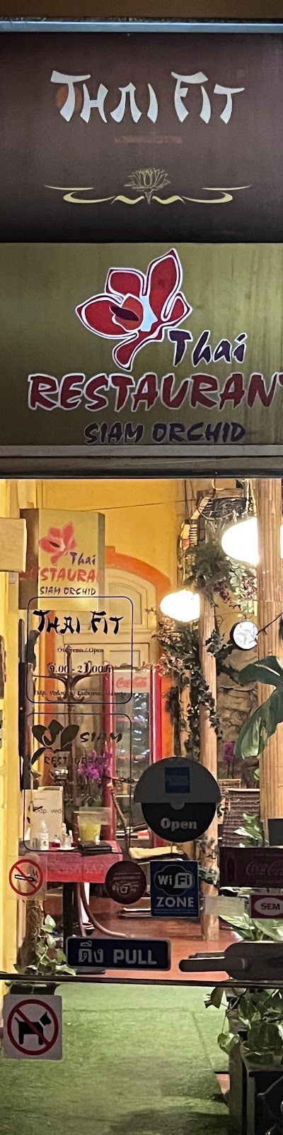 סיאם אורכיד